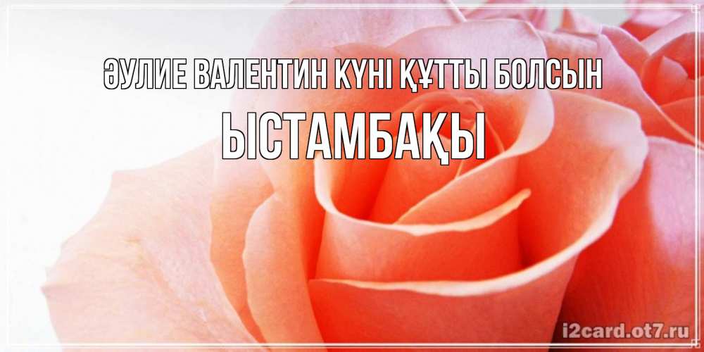 Күн сайын ашық хат с именем, ЫСТАМБАҚЫ Әулие Валентин күні құтты болсын открытка на день Святого Валентина с розовой розой Онлайн тегін жүктеп алу тілектері бар керемет карта 