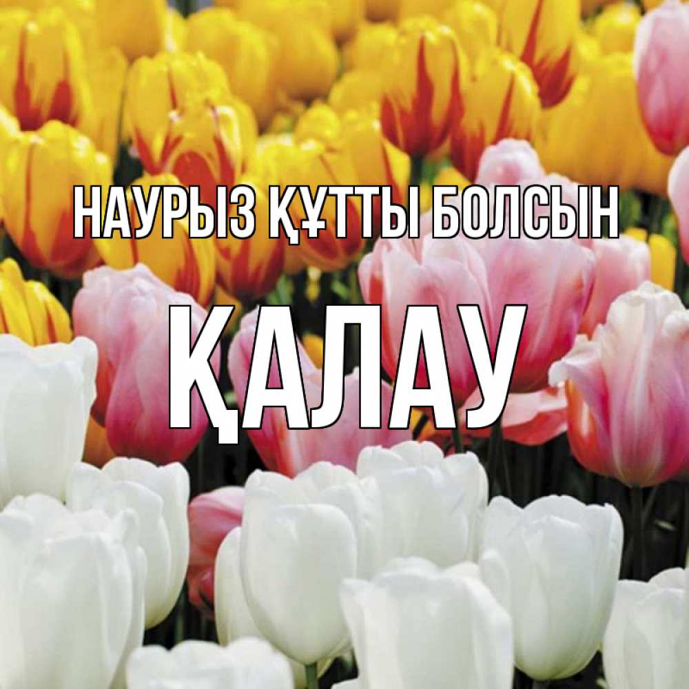 Күн сайын ашық хат с именем, Қалау Наурыз құтты болсын разноцветные цветы Онлайн тегін жүктеп алу тілектері бар керемет карта 
