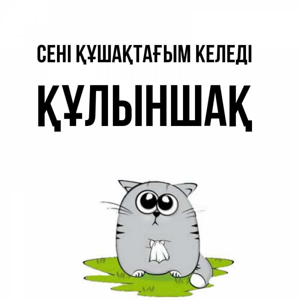 Күн сайын ашық хат с именем, ҚҰЛЫНШАҚ сені құшақтағым келеді котик теребит платочек сидя на травке Онлайн тегін жүктеп алу тілектері бар керемет карта 