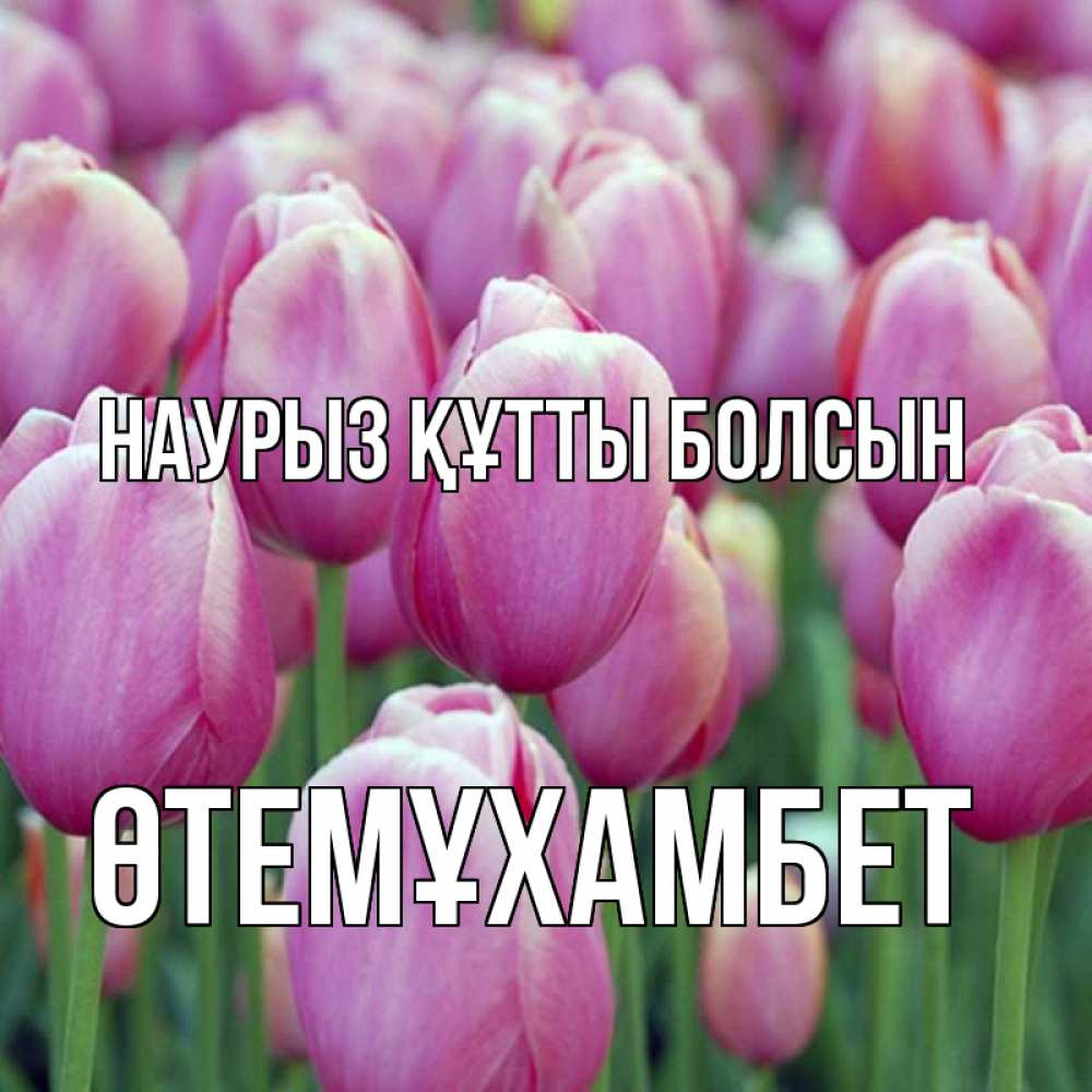 Күн сайын ашық хат с именем, ӨТЕМҰХАМБЕТ Наурыз құтты болсын на наурыз  день 3 Онлайн тегін жүктеп алу тілектері бар керемет карта 