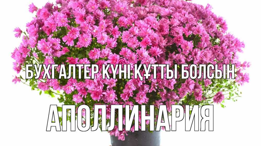 Күн сайын ашық хат с именем, Аполлинария бухгалтер күні құтты болсын с днем бухгалтера Онлайн тегін жүктеп алу тілектері бар керемет карта 