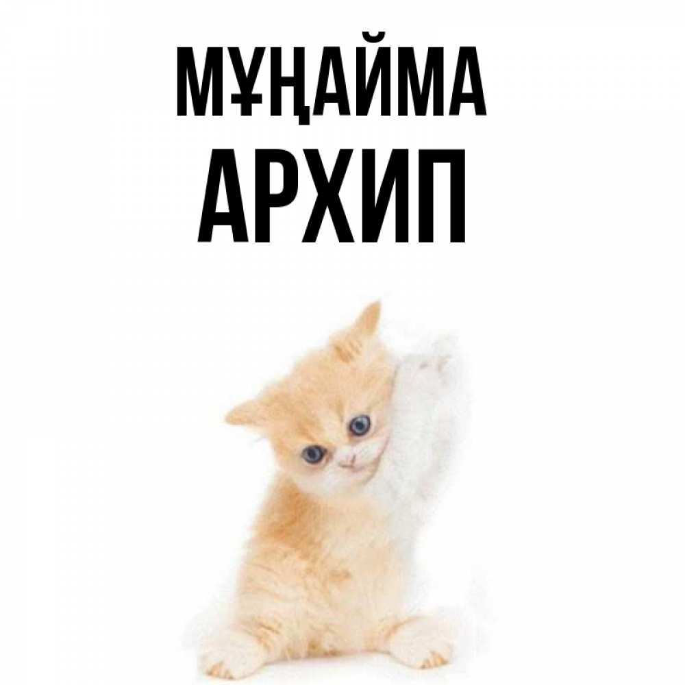 Күн сайын ашық хат с именем, Архип Мұңайма просящий кот Онлайн тегін жүктеп алу тілектері бар керемет карта 