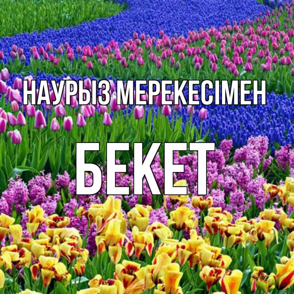 Күн сайын ашық хат с именем, Бекет Наурыз мерекесімен цветы Онлайн тегін жүктеп алу тілектері бар керемет карта 