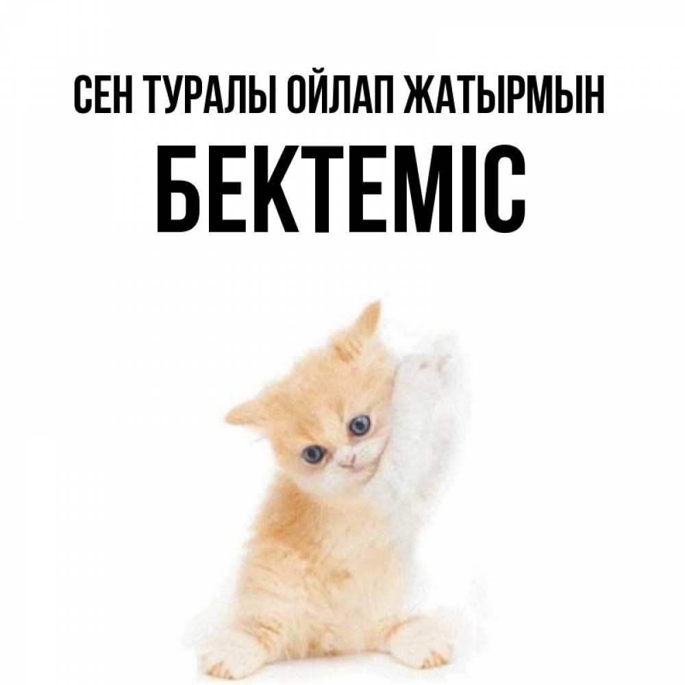 Күн сайын ашық хат с именем, Бектеміс Сен туралы ойлап жатырмын зверушки и милота Онлайн тегін жүктеп алу тілектері бар керемет карта 