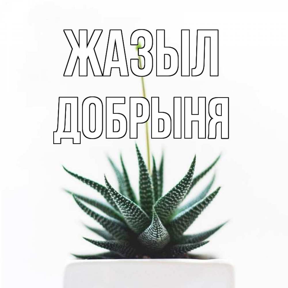 Күн сайын ашық хат с именем, Добрыня Жазыл короче это непонятная колючка Онлайн тегін жүктеп алу тілектері бар керемет карта 