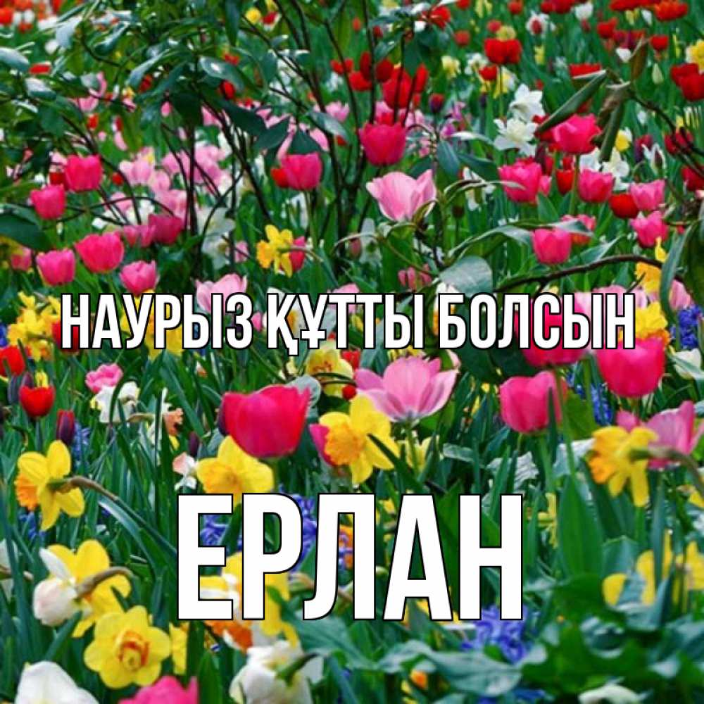 Күн сайын ашық хат с именем, Ерлан Наурыз құтты болсын с наурызом поздравления для женщины Онлайн тегін жүктеп алу тілектері бар керемет карта 