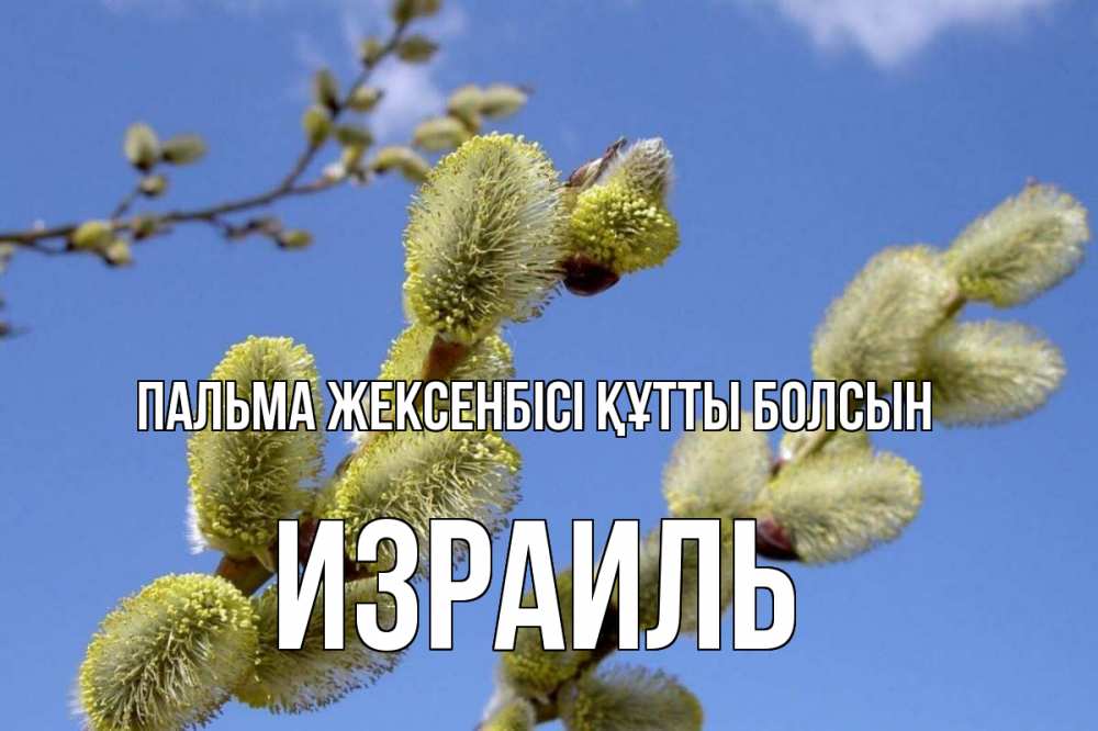 Күн сайын ашық хат с именем, Израиль Пальма жексенбісі құтты болсын верба Онлайн тегін жүктеп алу тілектері бар керемет карта 