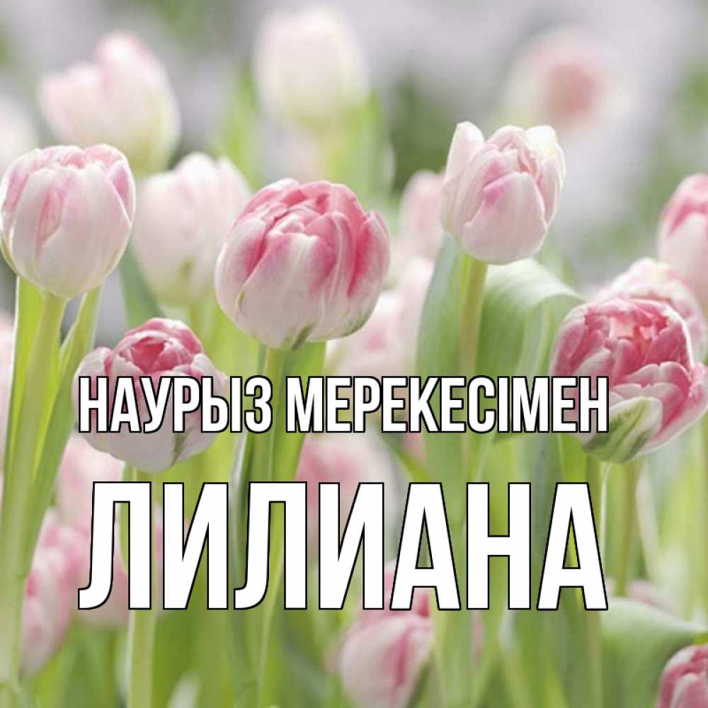 Күн сайын ашық хат с именем, Лилиана Наурыз мерекесімен цветы Онлайн тегін жүктеп алу тілектері бар керемет карта 