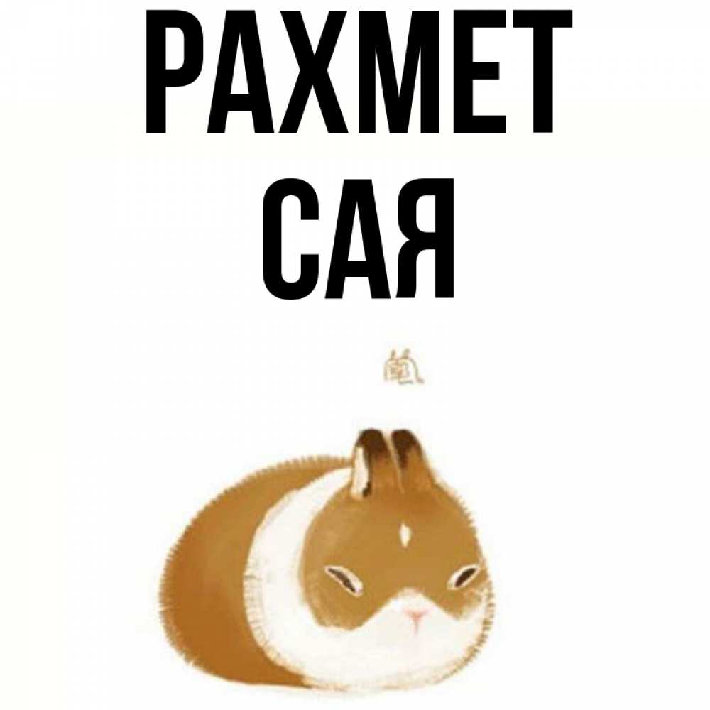 Күн сайын ашық хат с именем, САЯ рахмет коричнево белый домашний питомец Онлайн тегін жүктеп алу тілектері бар керемет карта 