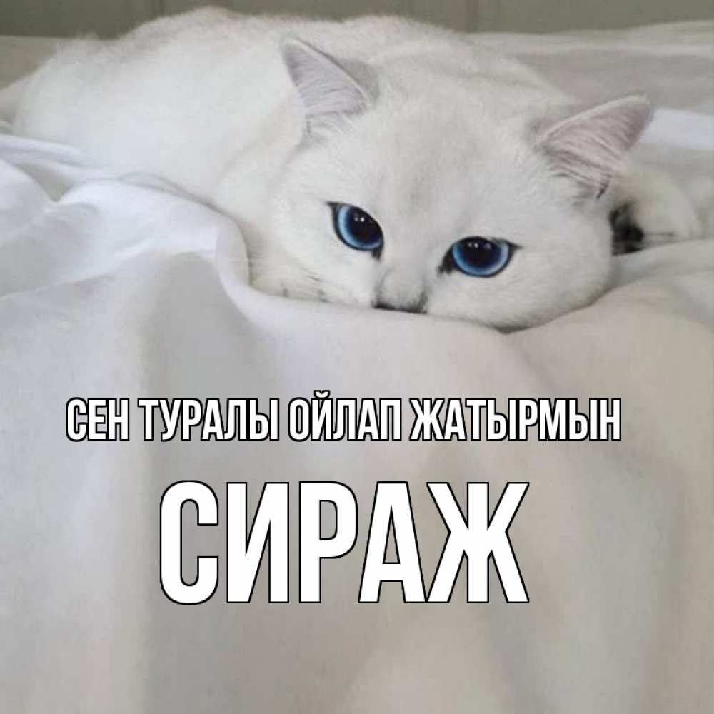Күн сайын ашық хат с именем, СИРАЖ Сен туралы ойлап жатырмын я очень по тебе скучаю и тоскую Онлайн тегін жүктеп алу тілектері бар керемет карта 