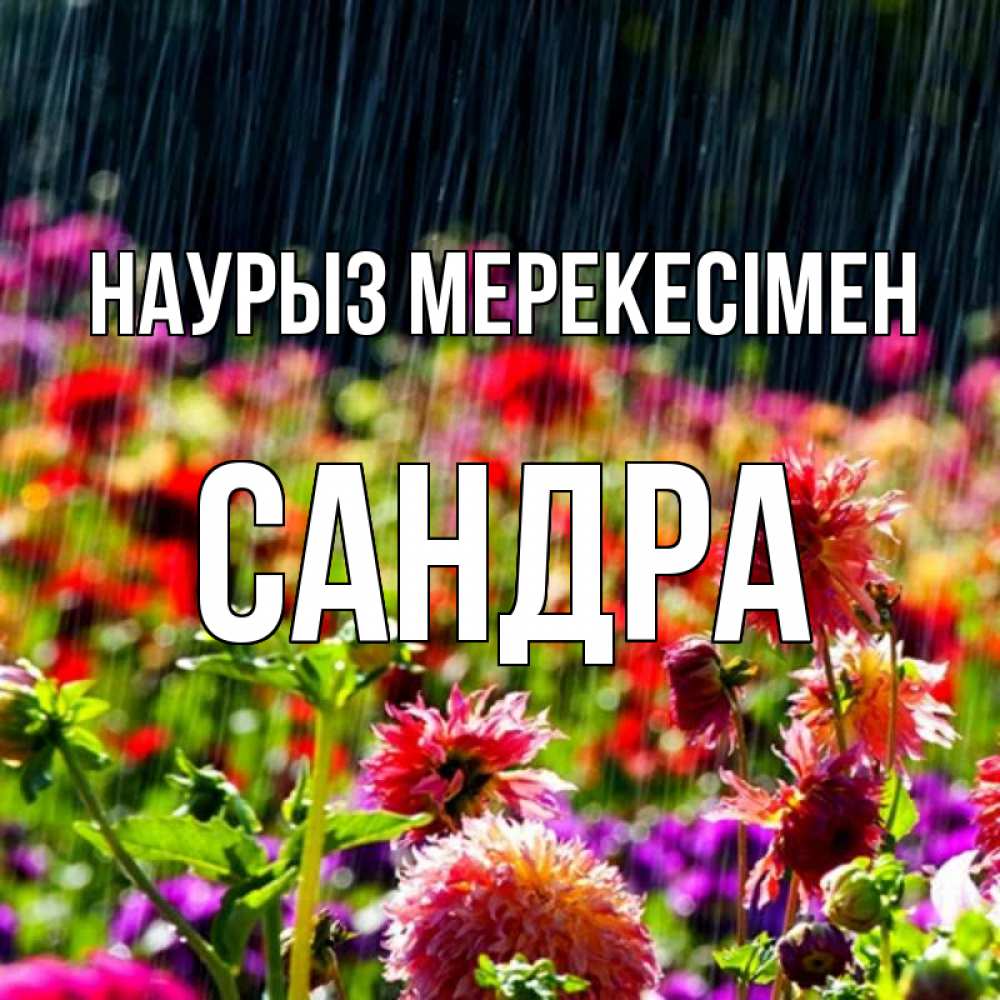 Күн сайын ашық хат с именем, Сандра Наурыз мерекесімен цветы под дождиком к международному женскому дню Онлайн тегін жүктеп алу тілектері бар керемет карта 
