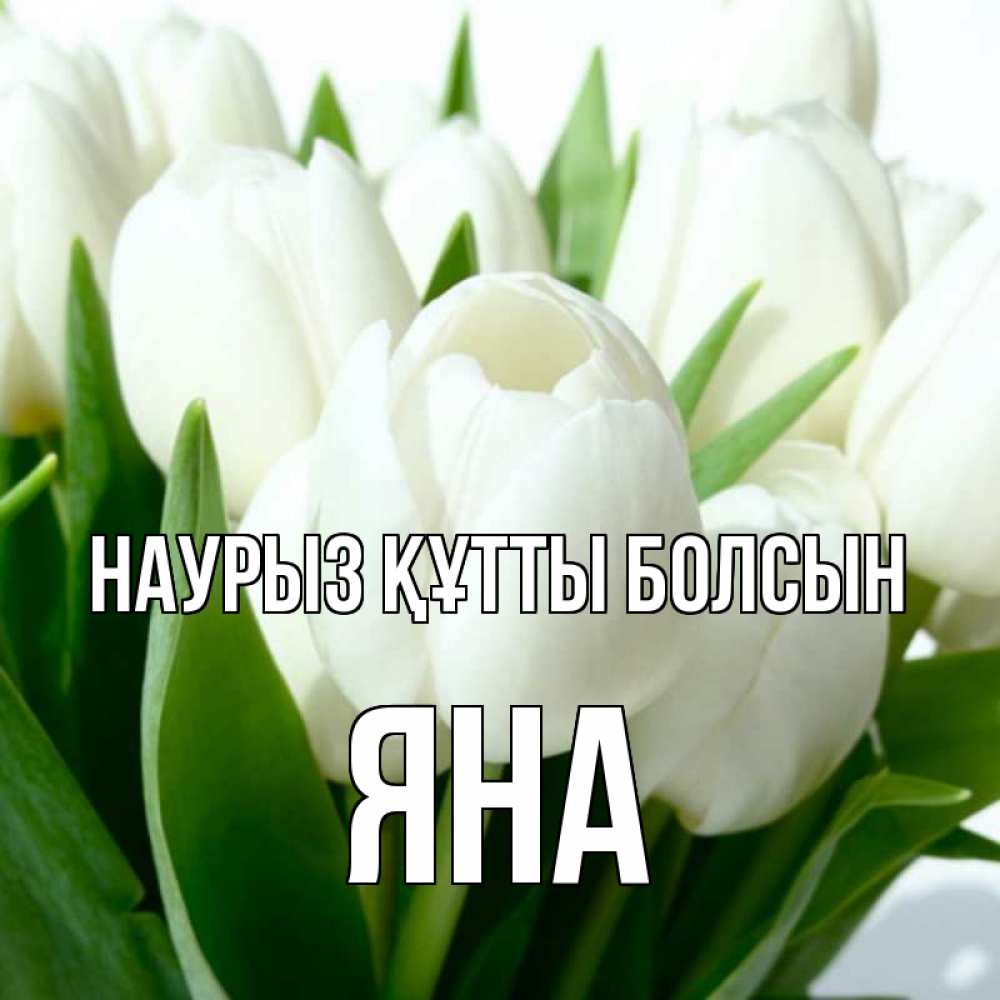 Күн сайын ашық хат с именем, Яна Наурыз құтты болсын цветы Онлайн тегін жүктеп алу тілектері бар керемет карта 
