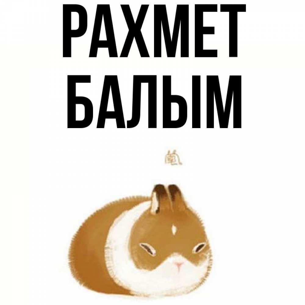 Күн сайын ашық хат с именем, БАЛЫМ рахмет коричнево белый домашний питомец Онлайн тегін жүктеп алу тілектері бар керемет карта 