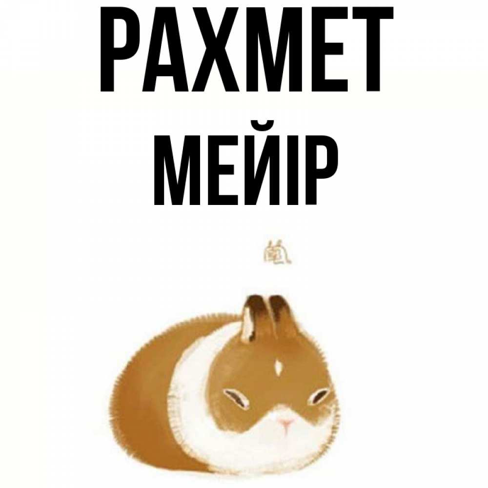 Күн сайын ашық хат с именем, МЕЙІР рахмет коричнево белый домашний питомец Онлайн тегін жүктеп алу тілектері бар керемет карта 