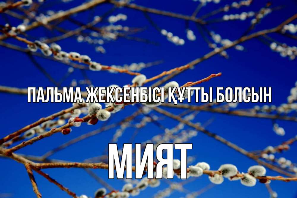 Күн сайын ашық хат с именем, МИЯТ Пальма жексенбісі құтты болсын верба Онлайн тегін жүктеп алу тілектері бар керемет карта 