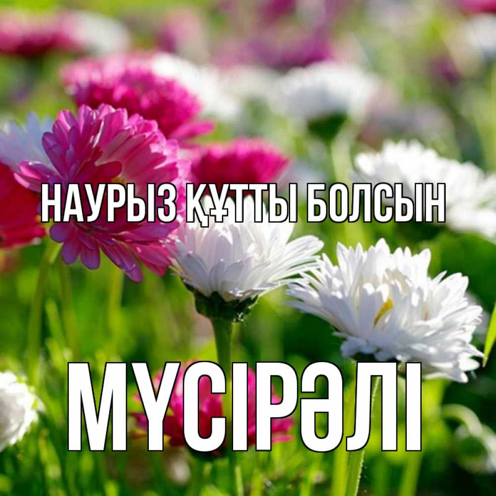 Күн сайын ашық хат с именем, МҮСІРӘЛІ Наурыз құтты болсын наурыз Онлайн тегін жүктеп алу тілектері бар керемет карта 