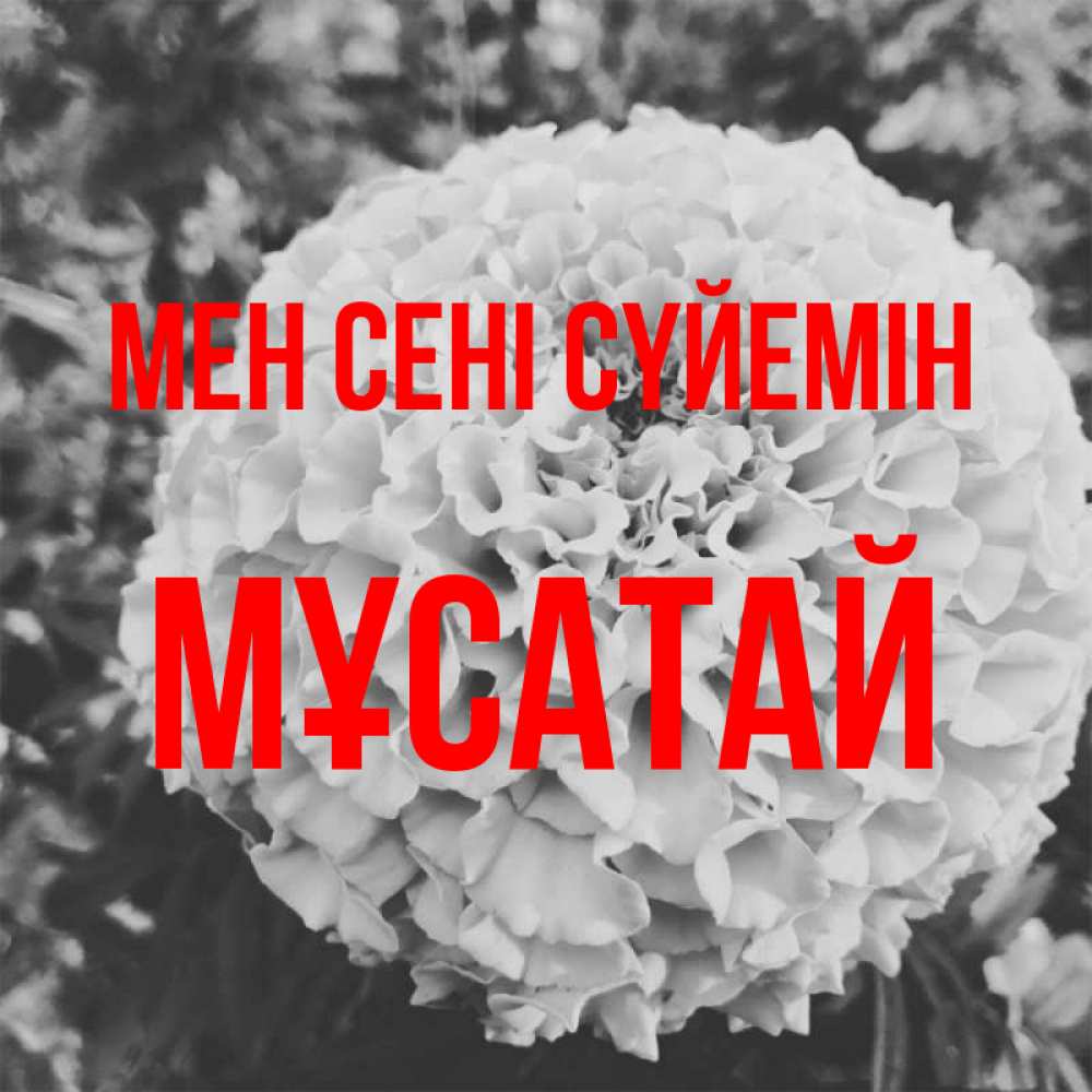 Күн сайын ашық хат с именем, Мұсатай Мен сені сүйемін подпись Онлайн тегін жүктеп алу тілектері бар керемет карта 