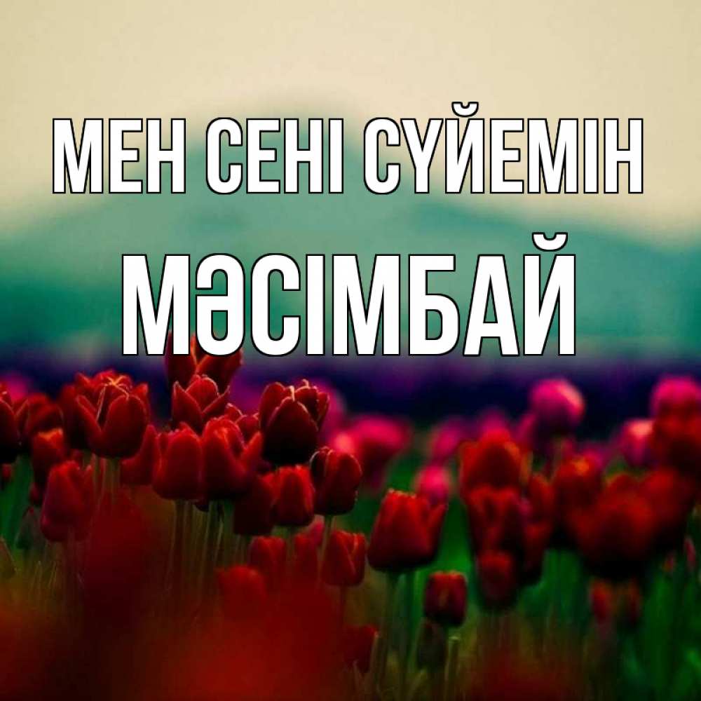 Күн сайын ашық хат с именем, МӘСІМБАЙ Мен сені сүйемін тюльпаны 4 Онлайн тегін жүктеп алу тілектері бар керемет карта 