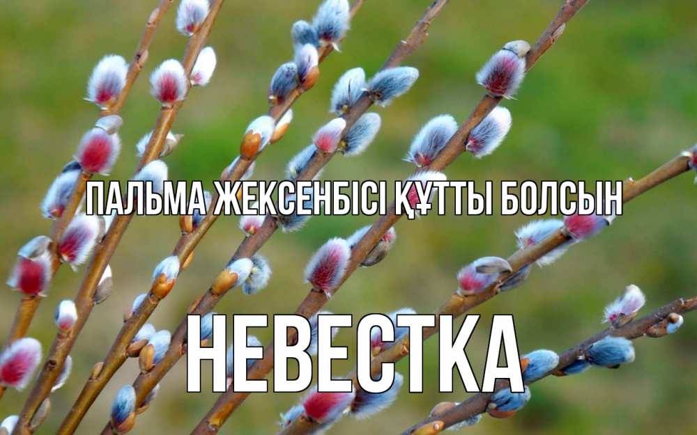 Күн сайын ашық хат с именем, Невестка Пальма жексенбісі құтты болсын верба Онлайн тегін жүктеп алу тілектері бар керемет карта 