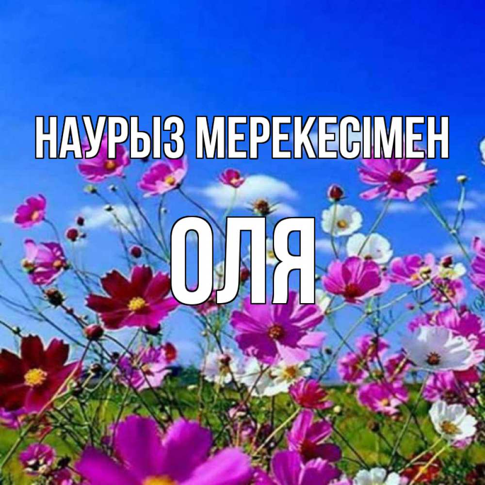 Күн сайын ашық хат с именем, Оля Наурыз мерекесімен цветы Онлайн тегін жүктеп алу тілектері бар керемет карта 