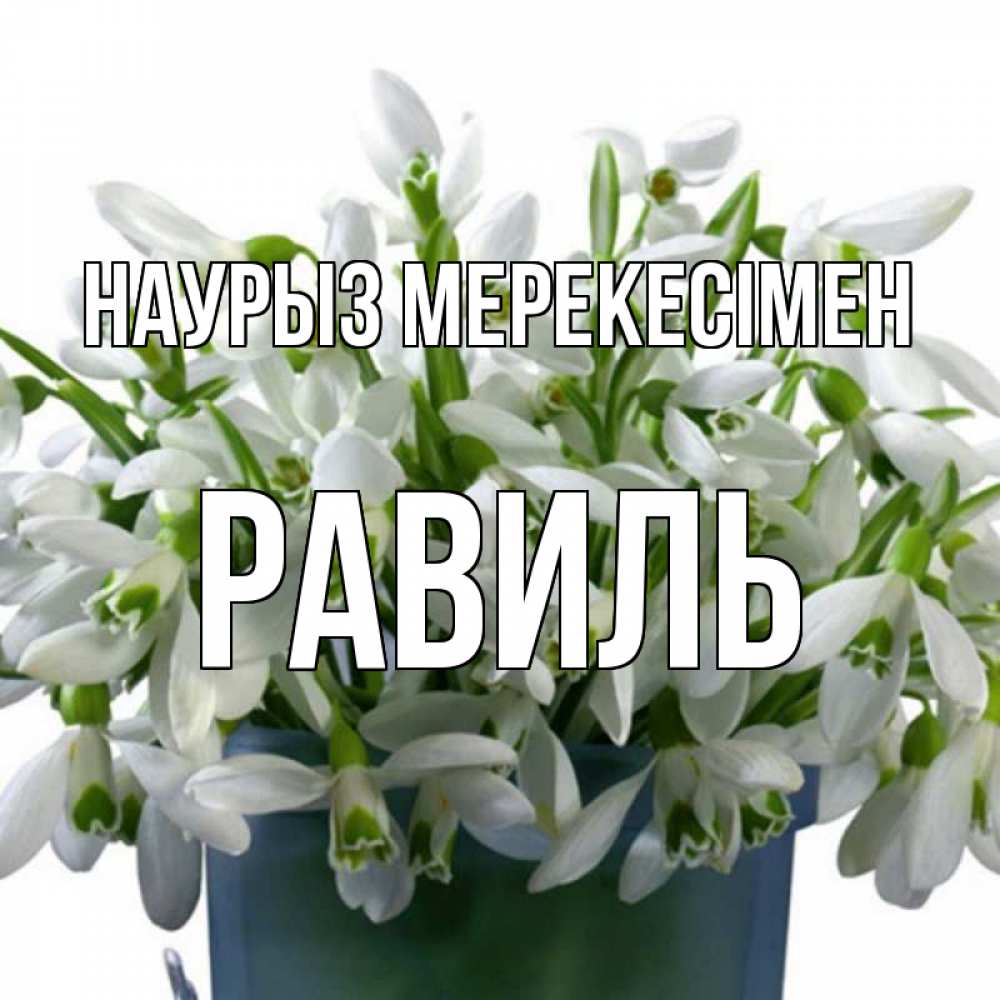 Күн сайын ашық хат с именем, Равиль Наурыз мерекесімен цветы к наурызу новый год в Казахстане Онлайн тегін жүктеп алу тілектері бар керемет карта 