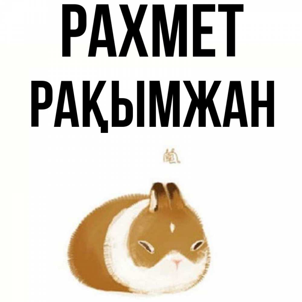 Күн сайын ашық хат с именем, Рақымжан рахмет коричнево белый домашний питомец Онлайн тегін жүктеп алу тілектері бар керемет карта 