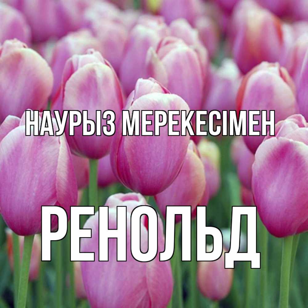 Күн сайын ашық хат с именем, Ренольд Наурыз мерекесімен праздник весны наурыз 69 Онлайн тегін жүктеп алу тілектері бар керемет карта 