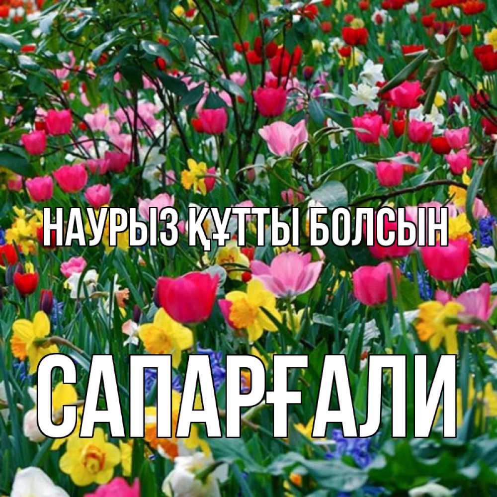 Күн сайын ашық хат с именем, САПАРҒАЛИ Наурыз құтты болсын с наурызом поздравления для женщины Онлайн тегін жүктеп алу тілектері бар керемет карта 