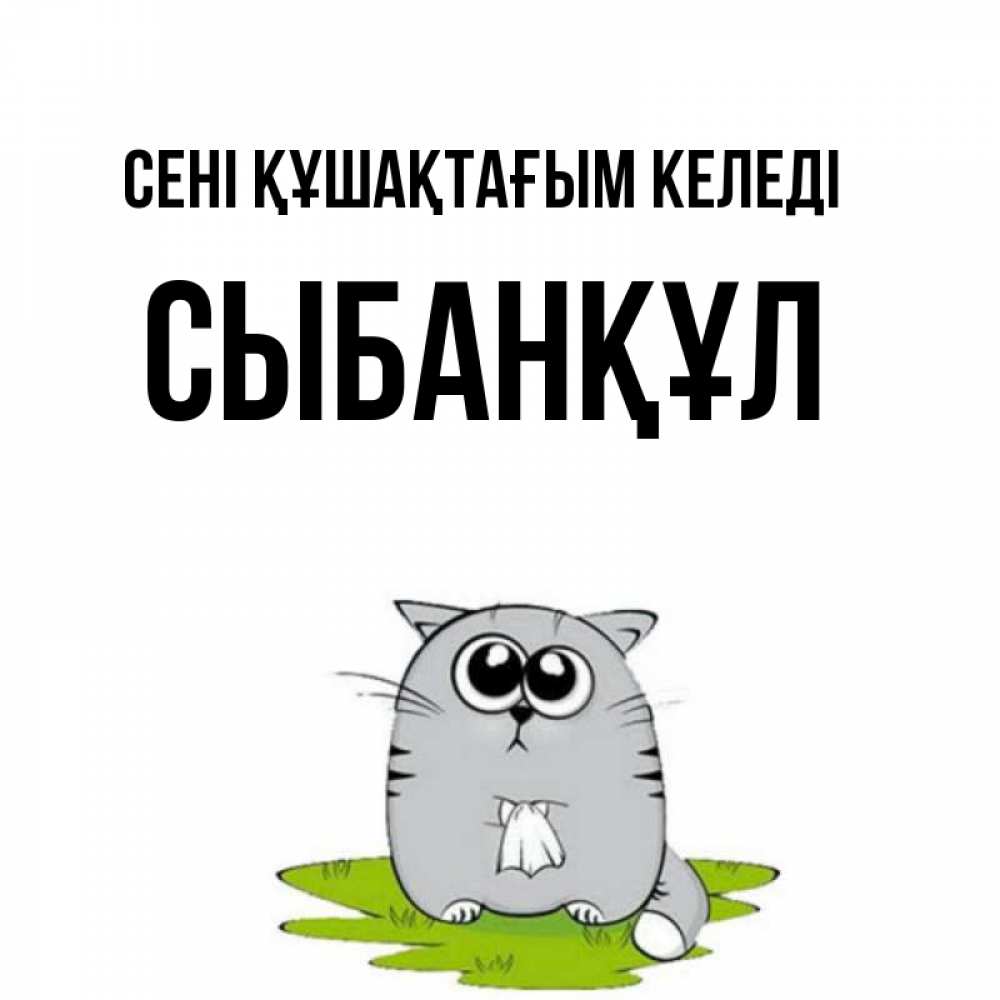 Күн сайын ашық хат с именем, СЫБАНҚҰЛ сені құшақтағым келеді котик теребит платочек сидя на травке Онлайн тегін жүктеп алу тілектері бар керемет карта 