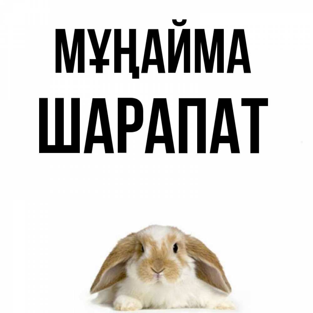 Күн сайын ашық хат с именем, ШАРАПАТ Мұңайма коричнево белый заяц с большими ушками Онлайн тегін жүктеп алу тілектері бар керемет карта 