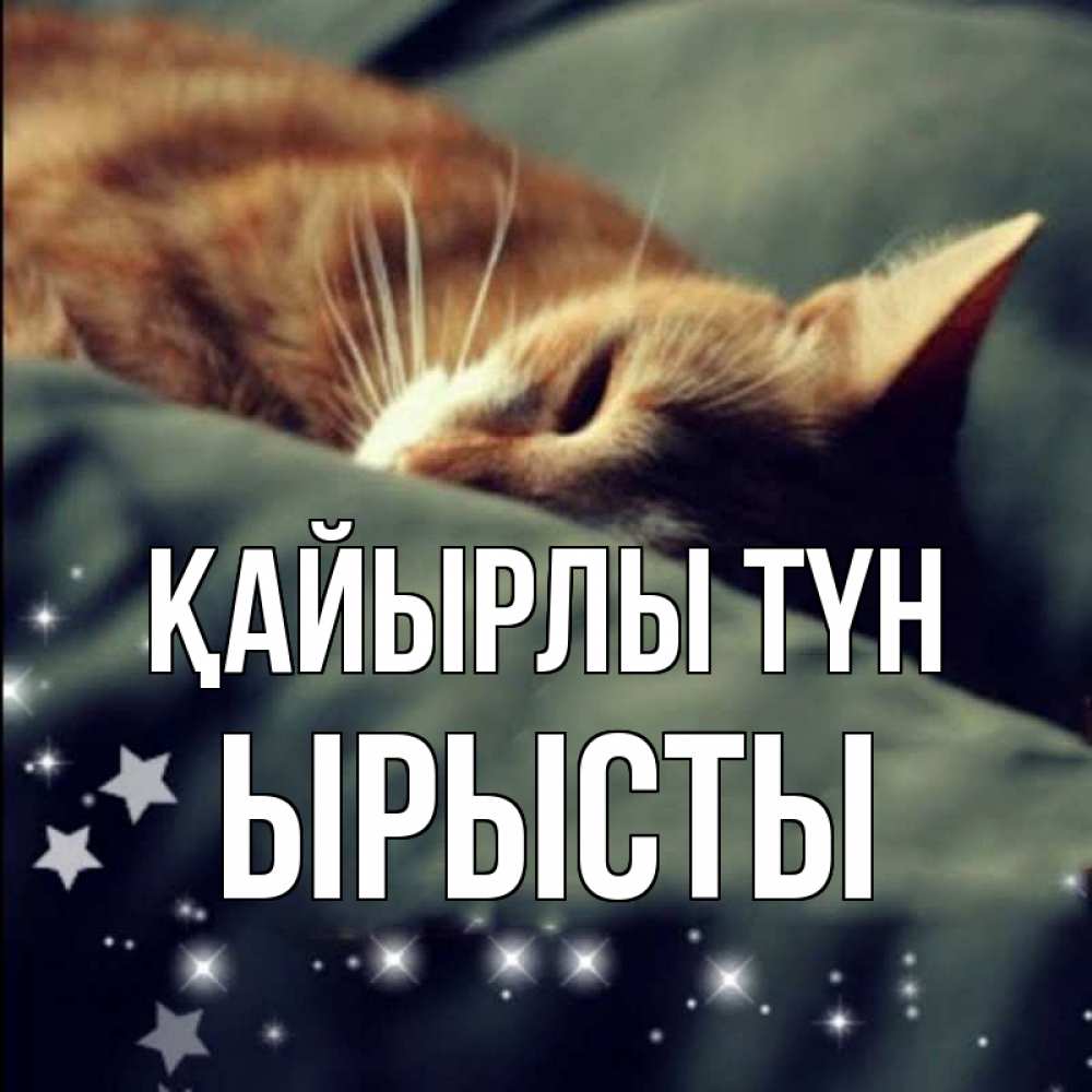 Күн сайын ашық хат с именем, ЫРЫСТЫ Қайырлы түн кроватка Онлайн тегін жүктеп алу тілектері бар керемет карта 