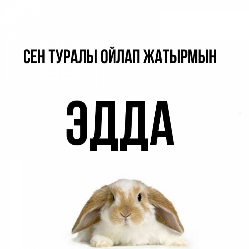 Күн сайын ашық хат с именем, Эдда Сен туралы ойлап жатырмын подписать своими руками онлайн Онлайн тегін жүктеп алу тілектері бар керемет карта 