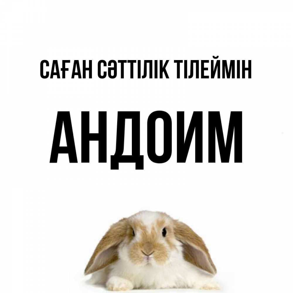 Күн сайын ашық хат с именем, Андоим Саған сәттілік тілеймін открытки с произвольным текстом который можно вставить в открытку и создать ее самостоятельно бесплатно онлайн Онлайн тегін жүктеп алу тілектері бар керемет карта 