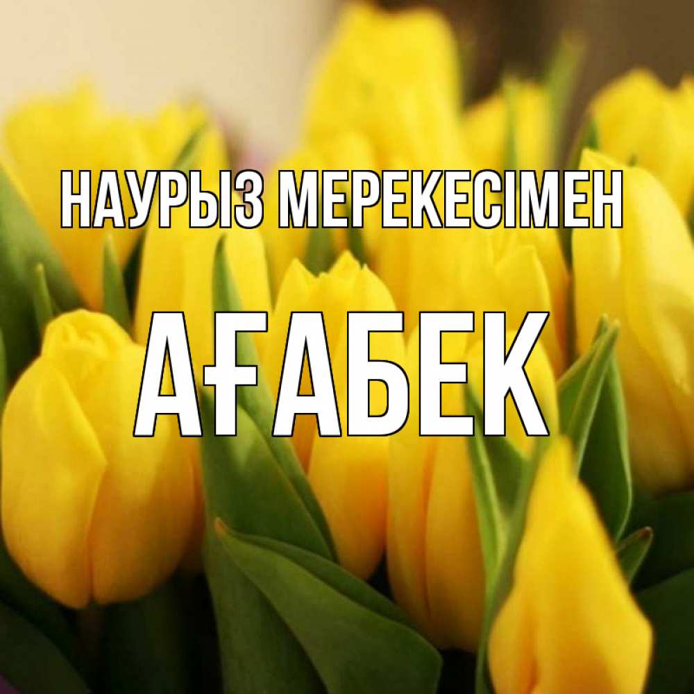 Күн сайын ашық хат с именем, Ағабек Наурыз мерекесімен цветы Онлайн тегін жүктеп алу тілектері бар керемет карта 