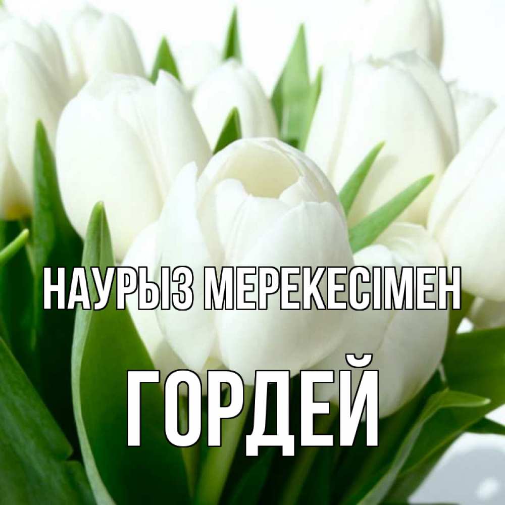 Күн сайын ашық хат с именем, Гордей Наурыз мерекесімен цветы Онлайн тегін жүктеп алу тілектері бар керемет карта 