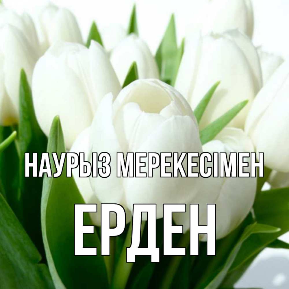 Күн сайын ашық хат с именем, Ерден Наурыз мерекесімен цветы Онлайн тегін жүктеп алу тілектері бар керемет карта 