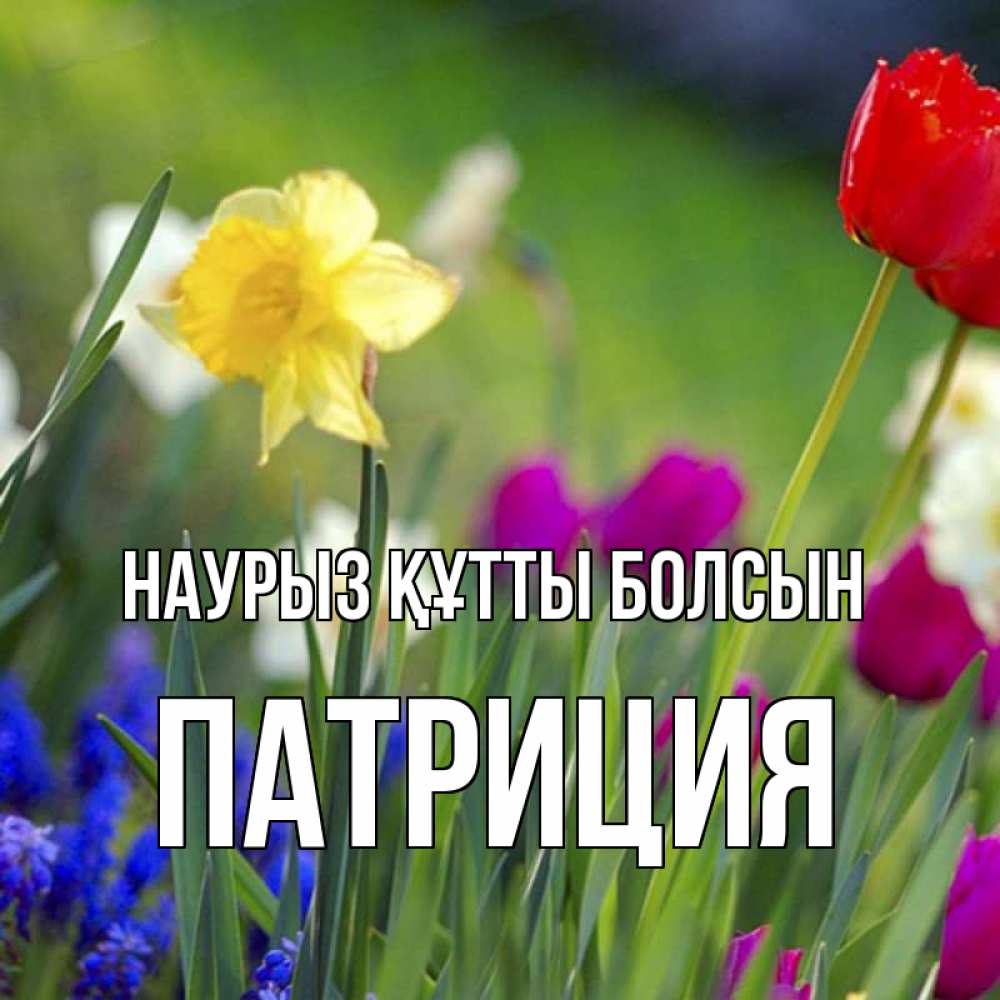 Күн сайын ашық хат с именем, Патриция Наурыз құтты болсын наурыз  3 открытки Онлайн тегін жүктеп алу тілектері бар керемет карта 