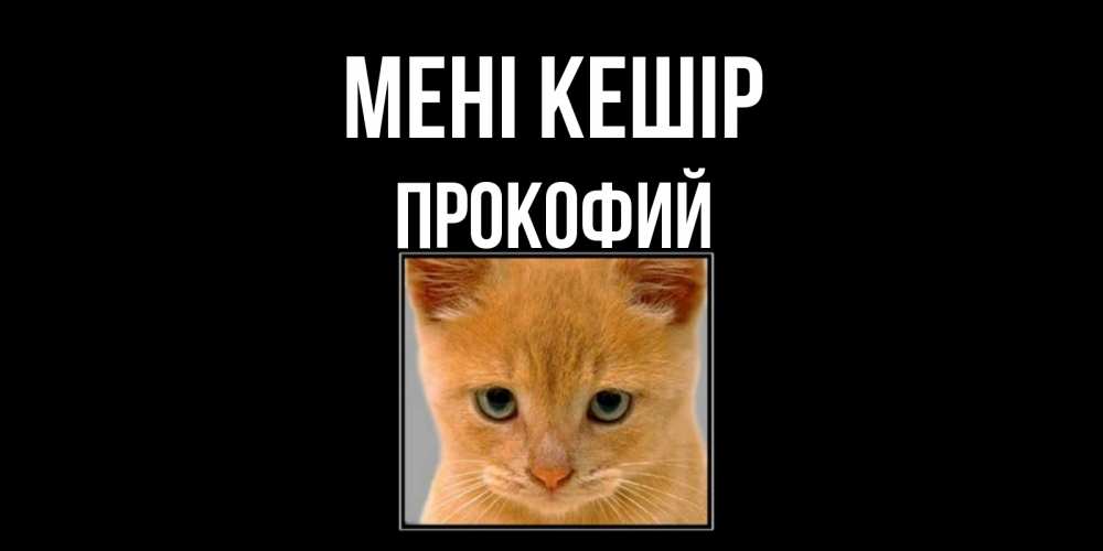 Күн сайын ашық хат с именем, Прокофий Мені кешір рыжий грустный кот просит прощения Онлайн тегін жүктеп алу тілектері бар керемет карта 