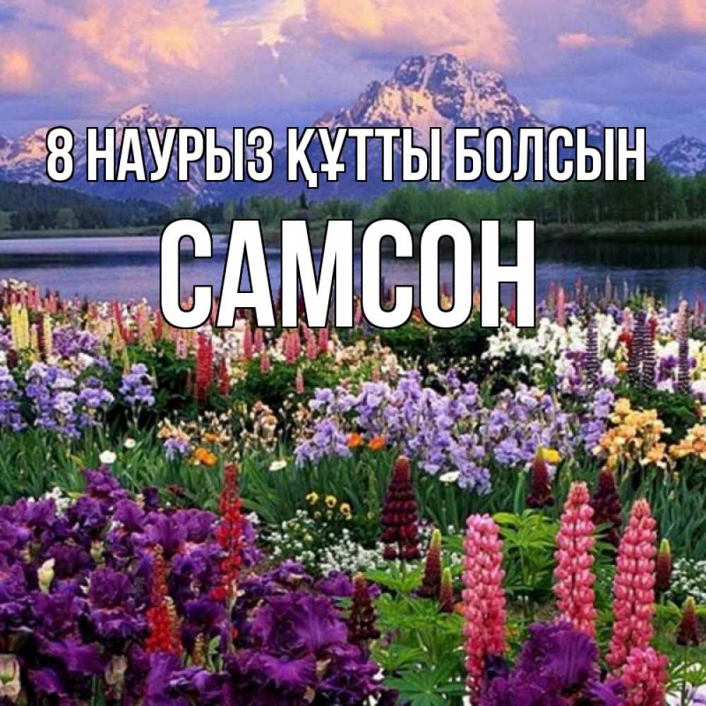 Күн сайын ашық хат с именем, Самсон 8 наурыз құтты болсын международный женский день Онлайн тегін жүктеп алу тілектері бар керемет карта 