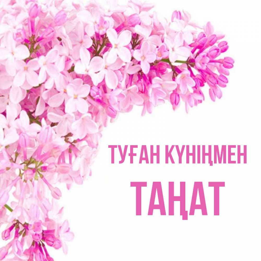 Күн сайын ашық хат с именем, ТАҢАТ Туған күніңмен Сирень на белом фоне Онлайн тегін жүктеп алу тілектері бар керемет карта 