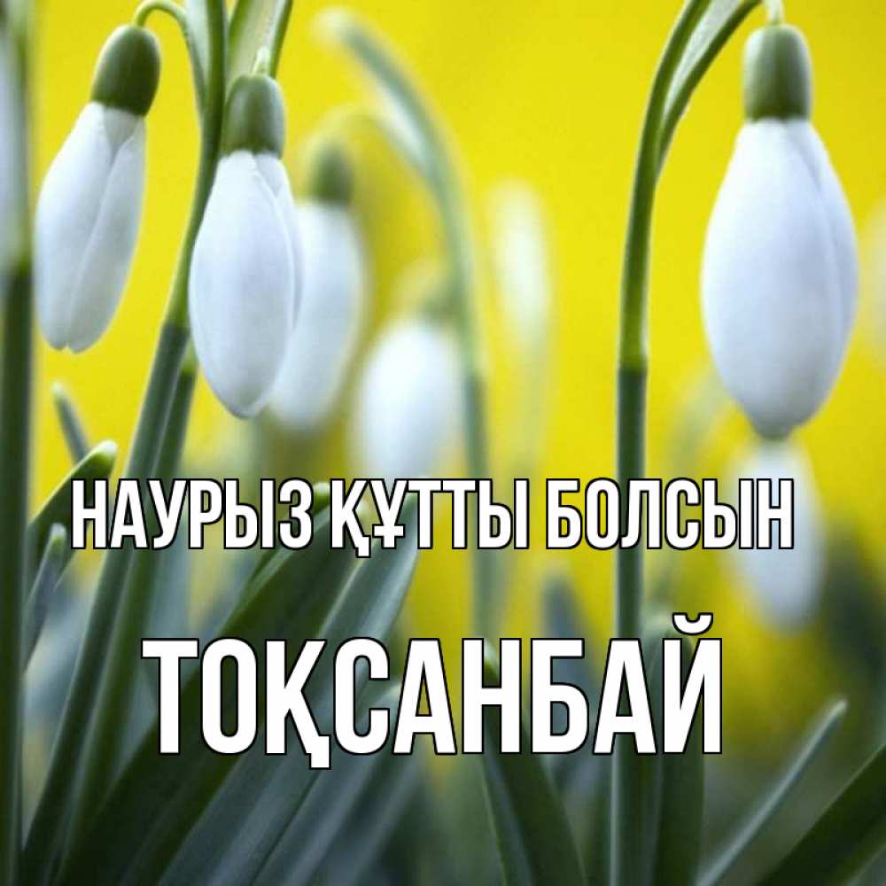 Күн сайын ашық хат с именем, ТОҚСАНБАЙ Наурыз құтты болсын весенние цветы Онлайн тегін жүктеп алу тілектері бар керемет карта 
