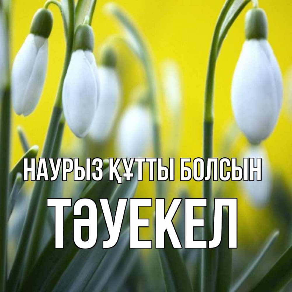 Күн сайын ашық хат с именем, ТӘУЕКЕЛ Наурыз құтты болсын весенние цветы Онлайн тегін жүктеп алу тілектері бар керемет карта 