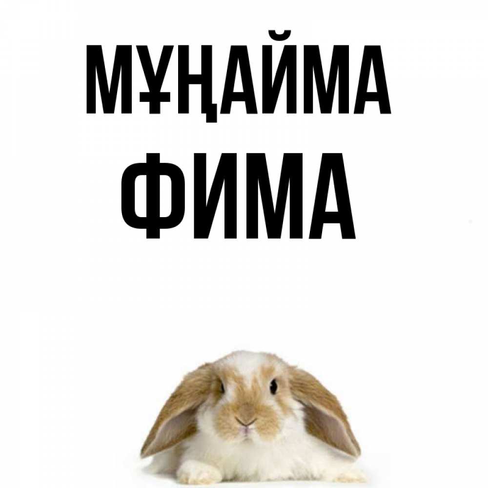 Күн сайын ашық хат с именем, Фима Мұңайма коричнево белый заяц с большими ушками Онлайн тегін жүктеп алу тілектері бар керемет карта 