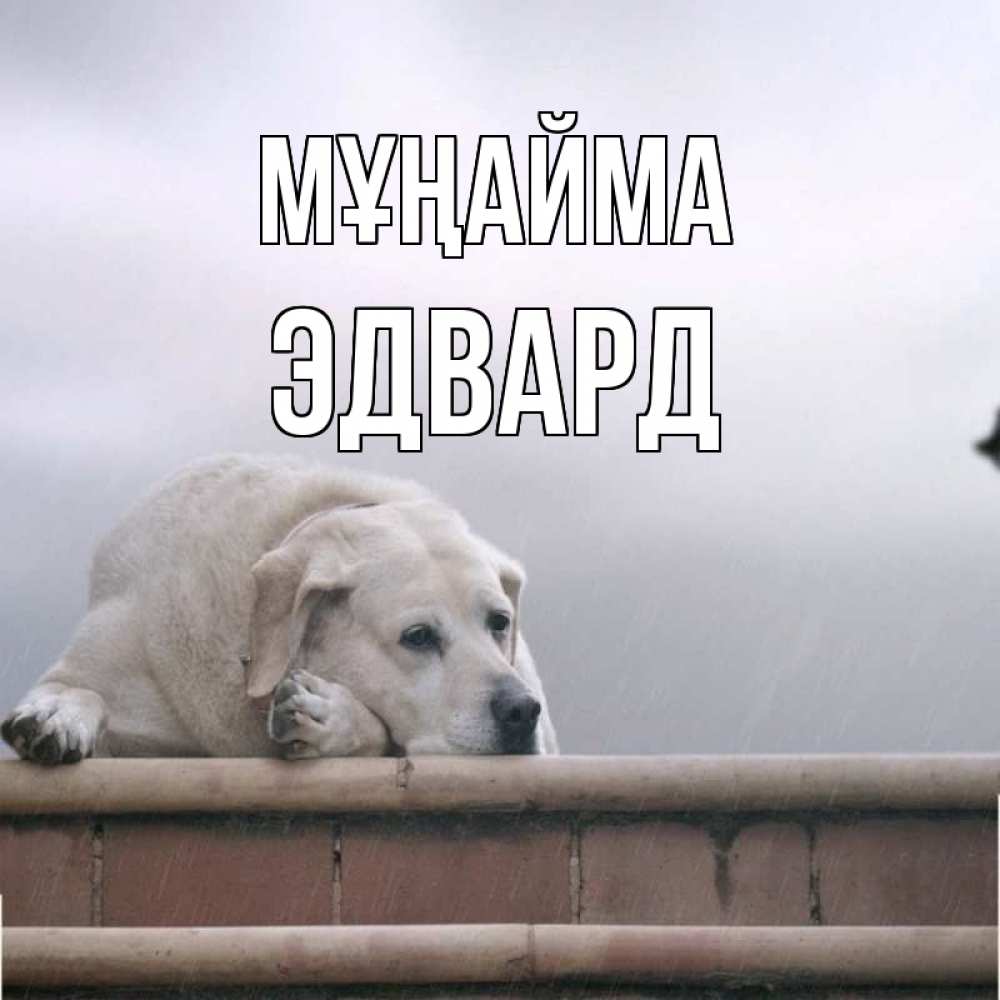 Күн сайын ашық хат с именем, Эдвард Мұңайма белый пес 1 Онлайн тегін жүктеп алу тілектері бар керемет карта 