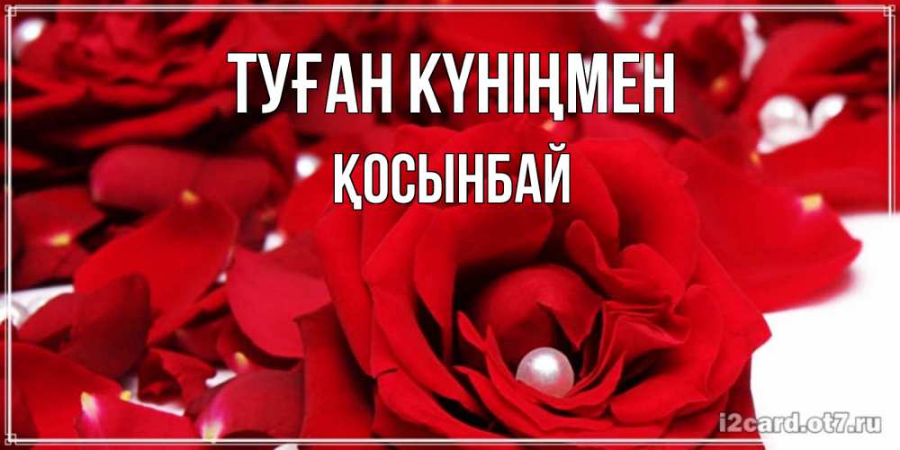 Күн сайын ашық хат с именем, ҚОСЫНБАЙ Туған күніңмен роза с жемчужиной на открытке для любимых Онлайн тегін жүктеп алу тілектері бар керемет карта 