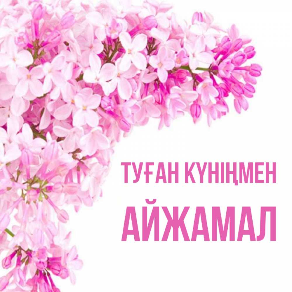 Күн сайын ашық хат с именем, АЙЖАМАЛ Туған күніңмен Сирень на белом фоне Онлайн тегін жүктеп алу тілектері бар керемет карта 