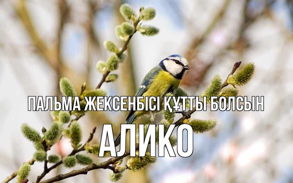 Күн сайын ашық хат с именем, Алико Пальма жексенбісі құтты болсын верба Онлайн тегін жүктеп алу тілектері бар керемет карта 
