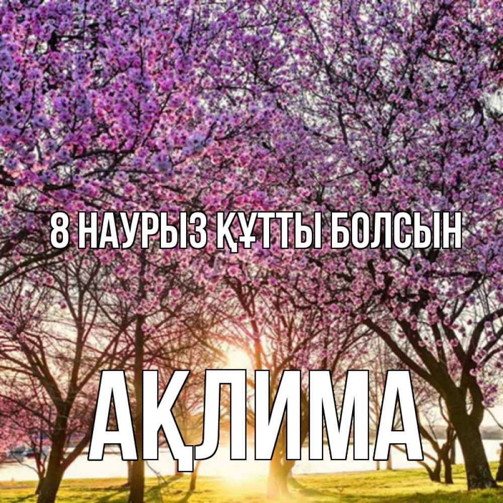 Күн сайын ашық хат с именем, АҚЛИМА 8 наурыз құтты болсын международный женский день Онлайн тегін жүктеп алу тілектері бар керемет карта 