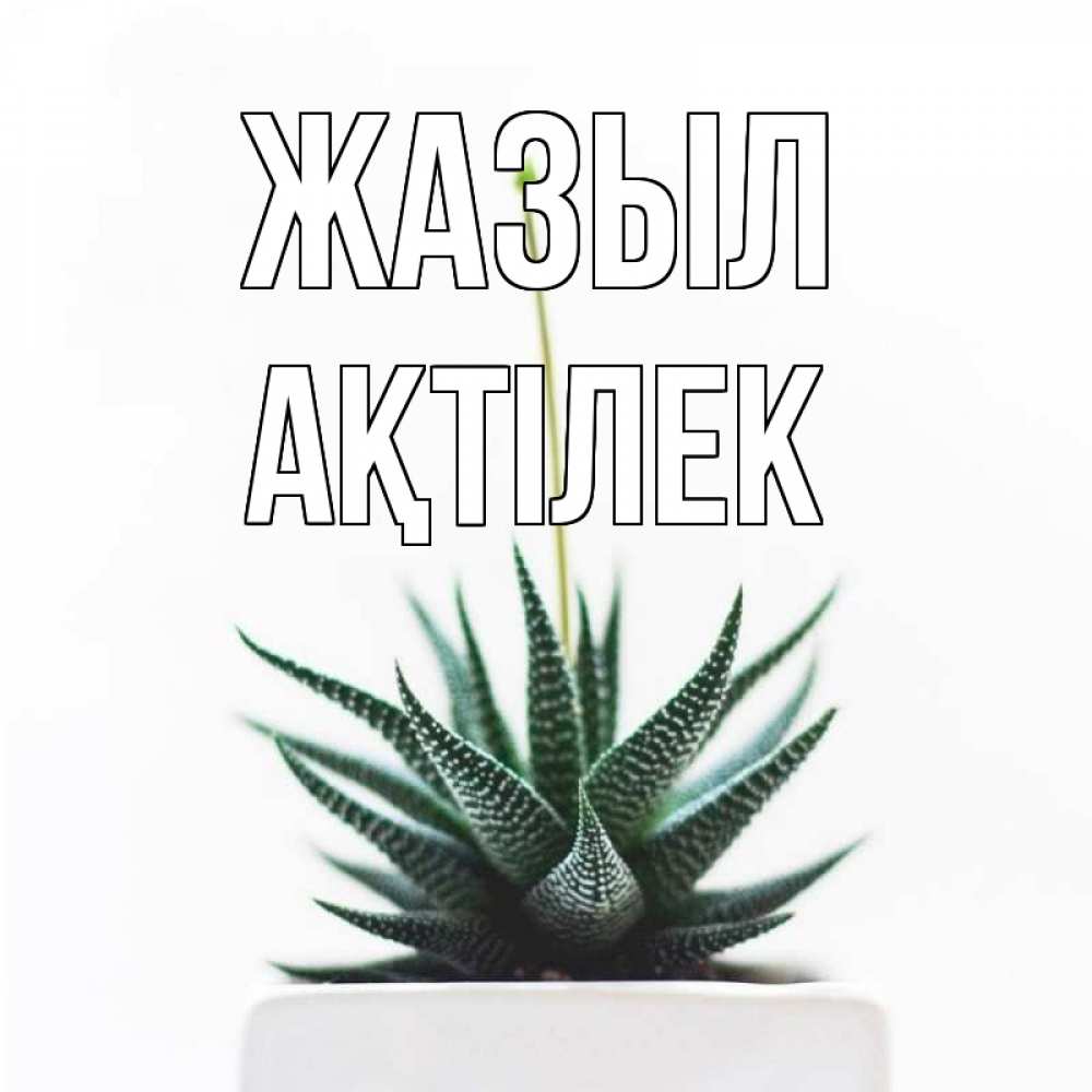 Күн сайын ашық хат с именем, Ақтілек Жазыл короче это непонятная колючка Онлайн тегін жүктеп алу тілектері бар керемет карта 