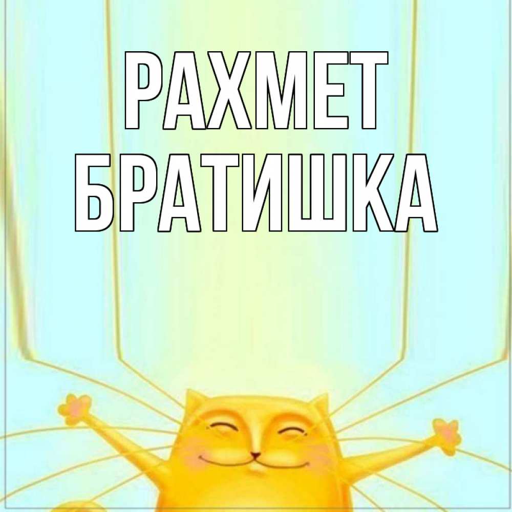 Күн сайын ашық хат с именем, Братишка рахмет кот с усами благодарит Онлайн тегін жүктеп алу тілектері бар керемет карта 